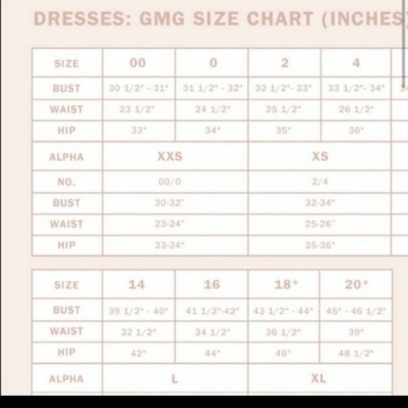 NWT Gal Meets Glam Viola Raffia Embroidered Dress Size 4 - Picture 10 of 10